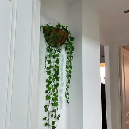 Апартаменты El Toro *