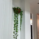 Apartamento El Toro *